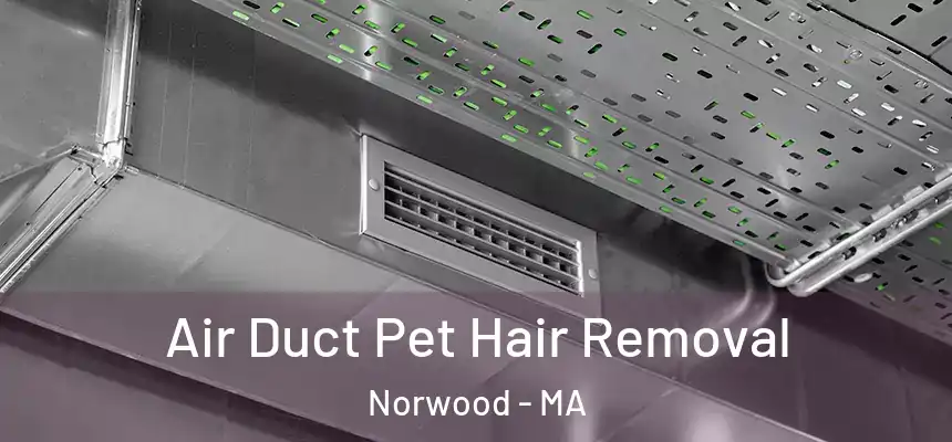  Air Duct Pet Hair Removal Norwood - MA