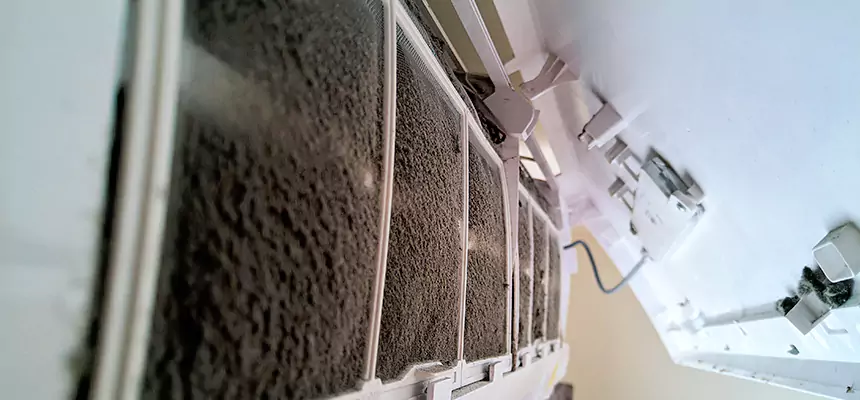 Preventive Air Duct Bacteria Removal in Norwood