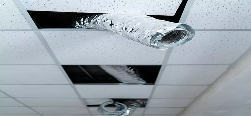 Our Air Duct Pet Hair Removal Services in Norwood, MA