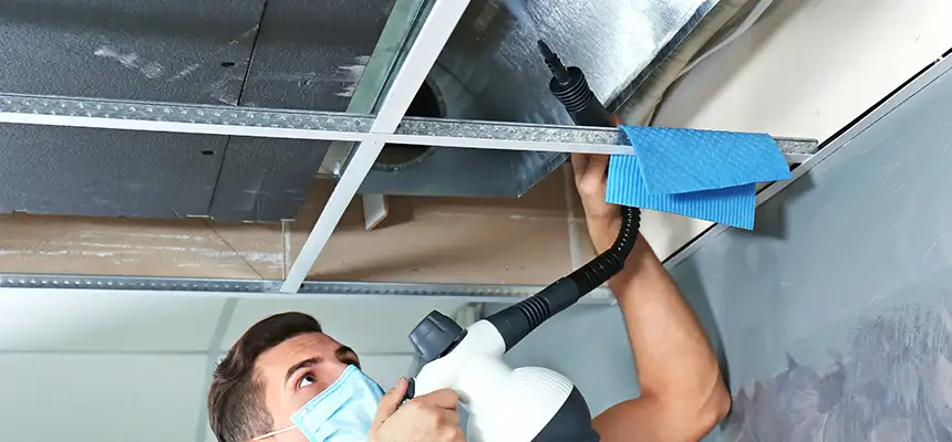 Our Air Duct Rodent Removal Services in Norwood, MA