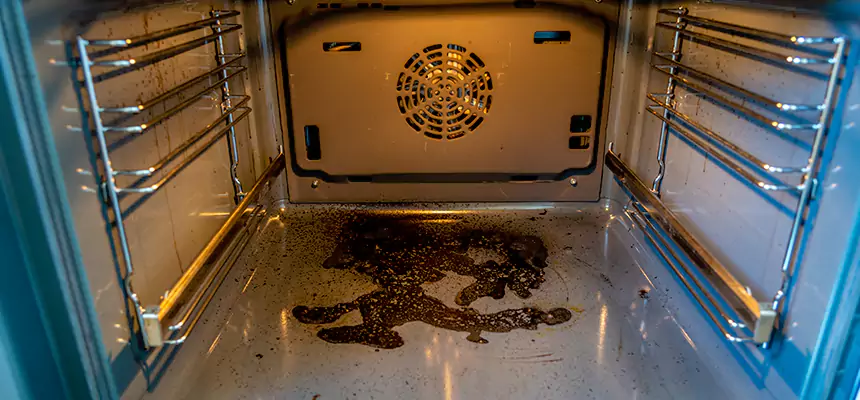 Our Dryer Vent Mold Cleaning Services in Norwood, MA