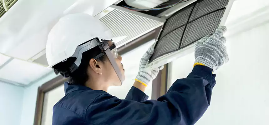 Our Mold & Mildew Removal from Air Ducts Services in Norwood, MA