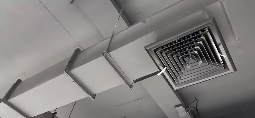 Our Rodent Droppings In Vents Services in Norwood, MA