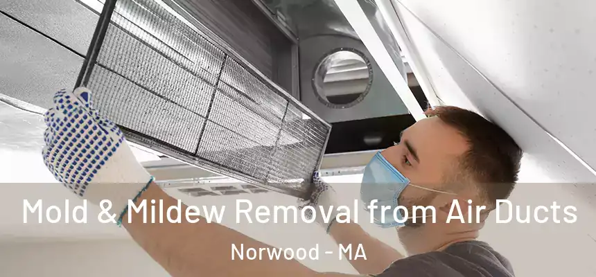  Mold & Mildew Removal from Air Ducts Norwood - MA