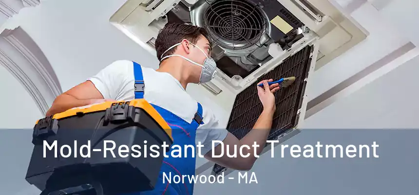  Mold-Resistant Duct Treatment Norwood - MA
