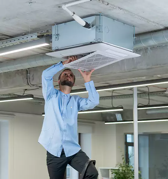 Advanced Rodent Droppings In Vents in Norwood, MA