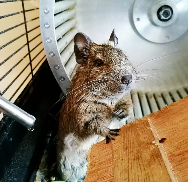 Why Homeowners & Businesses Trust Us Norwood, MA