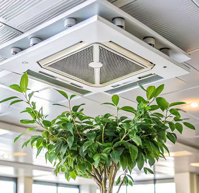 Why Homeowners & Businesses Trust Us in Norwood, MA?