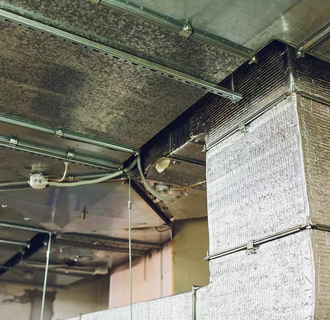 Why Homeowners & Businesses Trust Us in Norwood, MA?